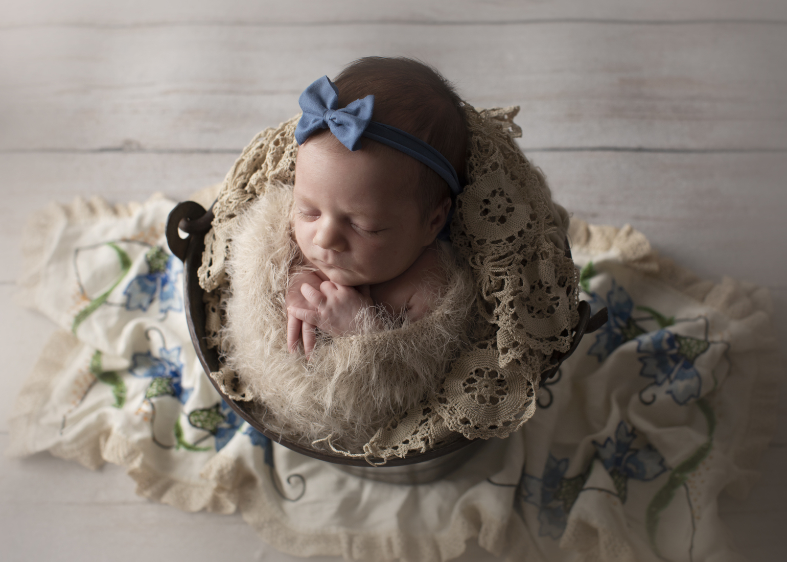daytona newborn