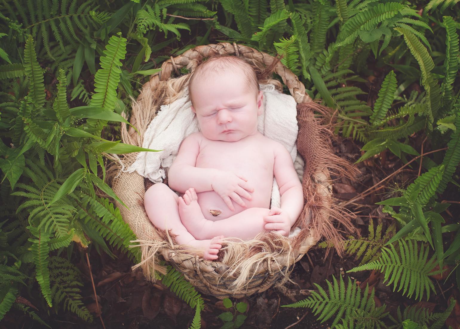 newborn daytona beach